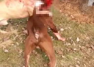 浑身是血的图片