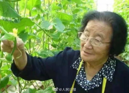 娱乐吃瓜酱广东人辣度,辣度惊人，吃瓜成风