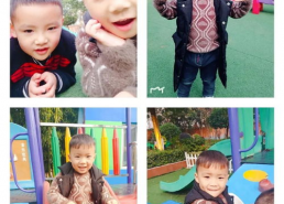 幼儿园明星宝宝评语,小小明星闪耀成长之路
