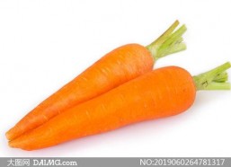 胡萝卜的照片,大自然的甜蜜宝藏
