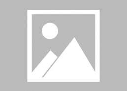 娱乐圈吃瓜系统小说完结,幕后真相大揭秘